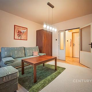 Pronájem bytu 1+1 42 m&sup2; Nový Jičín