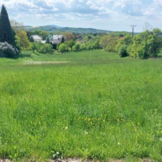 Prodej stavební parcely 6324 m² Lešná