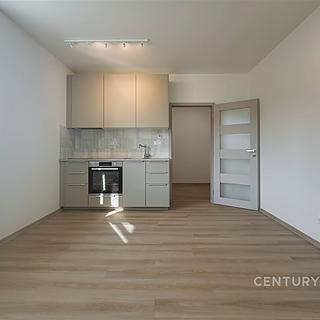 Pronájem bytu 1+kk a garsoniéry 25 m² Nový Jičín, Palackého