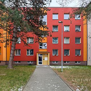 Pronájem bytu 1+1 42 m² Nový Jičín, Dvořákova