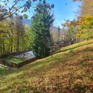 Prodej stavební parcely 6 944 m² Morávka