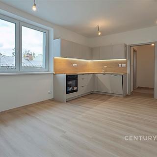 Pronájem bytu 1+kk a garsoniéry 26 m² Nový Jičín, Palackého