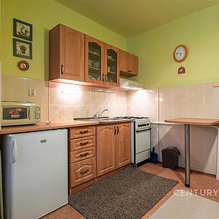 Pronájem bytu 1+1 42 m² Nový Jičín, Dvořákova