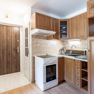 Prodej bytu 1+kk a garsoniéry 25 m² Zvěstov Roudný