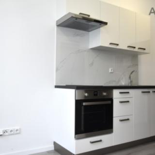 Pronájem bytu 1+kk a garsoniéry 16 m² Sázava, Poznaňská