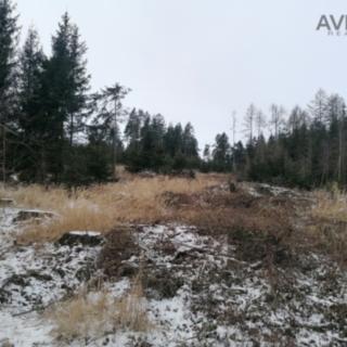 Prodej lesa 9 012 m² Votice Hory