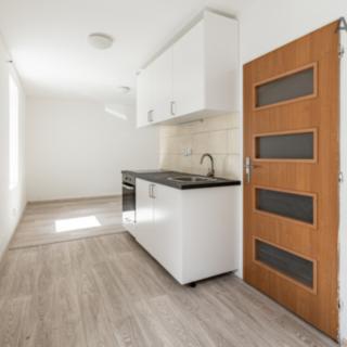 Prodej bytu 1+kk a garsoniéry 27 m² Zvěstov Roudný