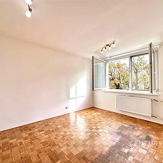 Pronájem bytu 1+1 32 m² Hodonín