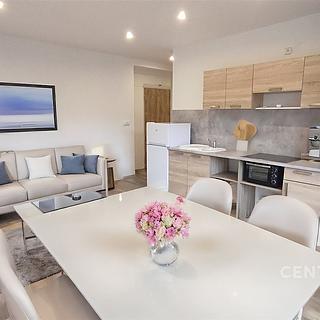 Pronájem bytu 1+1 35 m² Nížkovice