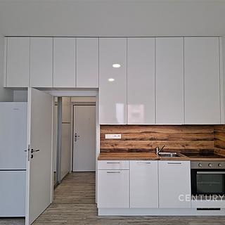Pronájem bytu 1+kk a garsoniéry 30 m² Olomouc, Wolkerova