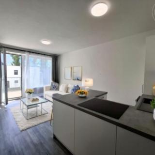 Pronájem bytu 1+kk, garsoniery, 37m²