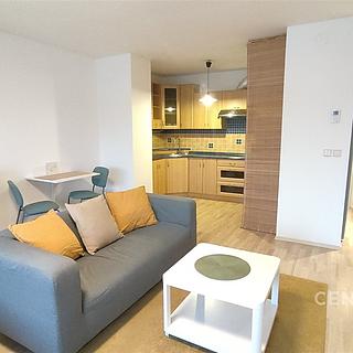 Pronájem bytu 1+kk a garsoniéry 48 m² Olomouc Nové Sady, Handkeho