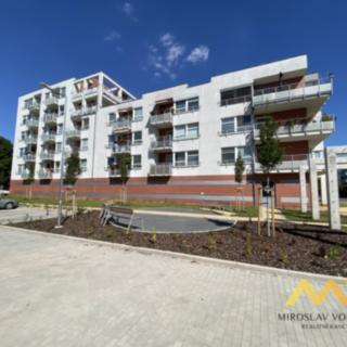 Pronájem bytu 1+kk a garsoniéry 41 m² Hradec Králové Nový, Rybova