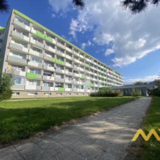 Pronájem bytu 1+kk a garsoniéry 22 m² Hradec Králové Nový, Brožíkova
