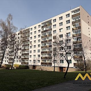 Pronájem bytu 1+1 37 m² Hradec Králové Třebeš, Milady Horákové