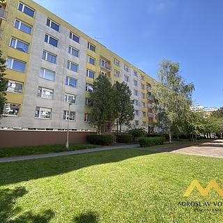 Pronájem bytu 1+1 35 m&sup2; Hradec Králové