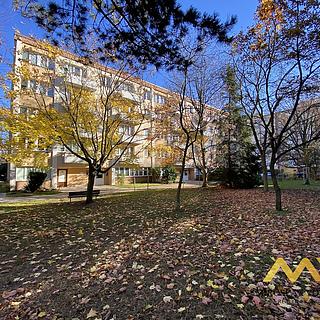 Prodej bytu 2+1 44 m² Hradec Králové