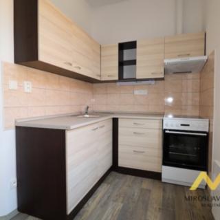 Pronájem bytu 1+kk a garsoniéry 25 m² Hradec Králové Nový, Hlavní