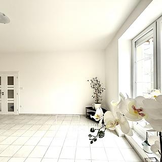 Prodej bytu 2+1 86 m² Brno, Třebízského