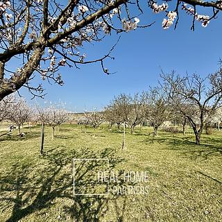 Prodej komerčního pozemku 2 700 m² Perná