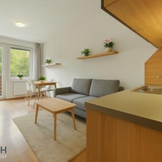 Prodej bytu 1+kk a garsoniéry 25 m² Všemina