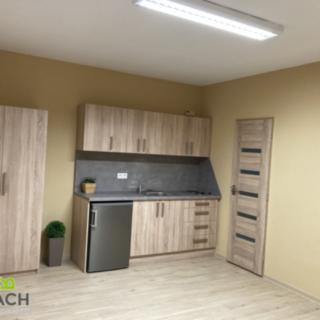 Pronájem bytu 1+kk a garsoniéry 20 m² Zlechov