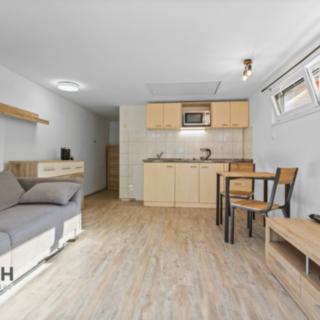 Pronájem bytu 1+kk a garsoniéry 25 m² Náchod, U Cihelny