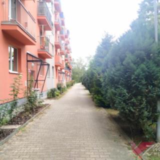 Pronájem bytu 2+kk 45 m² Milovice Mladá, Komenského