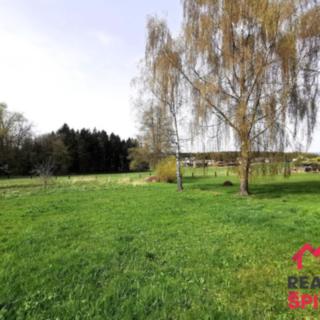 Prodej louky 4 698 m² Dlouhoňovice