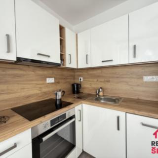 Pronájem bytu 1+1 35 m² Moravská Třebová Předměstí, Holandská