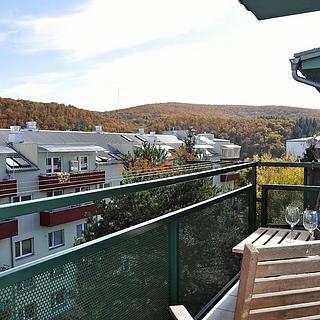 Pronájem bytu 2+kk 43 m² Brno Bystrc, Černého