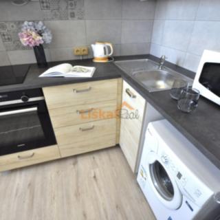 Pronájem bytu 1+1 32 m² Brno Lesná, Halasovo náměstí