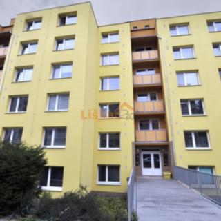 Pronájem bytu 1+1 33 m² Adamov, Petra Jilemnického