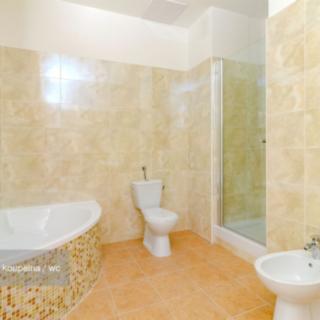 Prodej bytu 2+1 74 m² Janovice nad Úhlavou