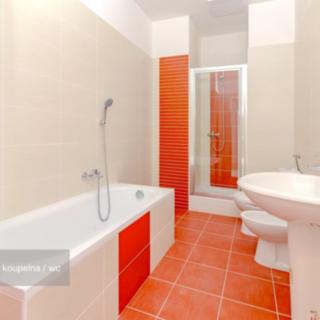 Prodej bytu 3+1 100 m² Janovice nad Úhlavou, Rozvojová zóna