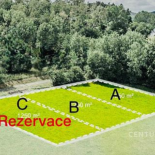 Prodej stavební parcely 1 250 m² Bělá pod Bezdězem