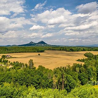 Prodej stavební parcely 1250 m&sup2; Bělá pod Bezdězem
