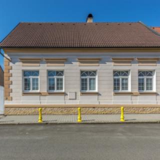 Prodej obchodu 234 m² Mochov, Sokolovská