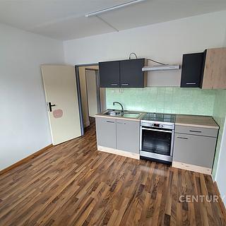 Pronájem bytu 1+1 41 m² Jindřichův Hradec Otín