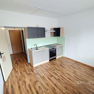 Pronájem bytu 1+1 41 m² Jindřichův Hradec Otín
