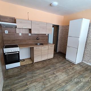 Pronájem bytu 3+1 94 m² Jindřichův Hradec Otín