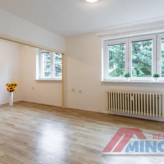 Pronájem bytu 2+1, 49m²