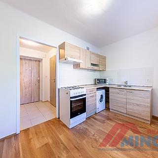 Pronájem bytu 1+1 28 m² Slaný, Rabasova