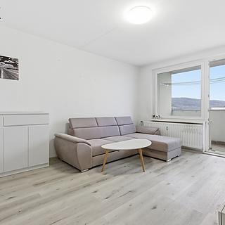 Prodej bytu 3+1 75 m&sup2; Sokolov