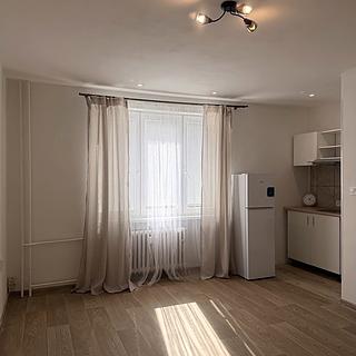 Pronájem bytu 1+kk a garsoniéry 24 m² Karlovy Vary Rybáře, Sokolovská