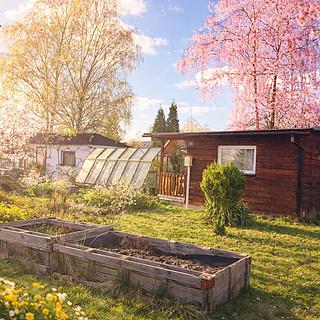 Prodej zahrady 496 m² Nová Role