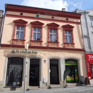 Pronájem bytu 2+1 80 m² Chrudim I, Široká