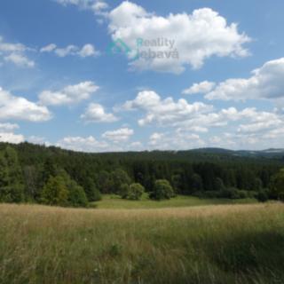 Prodej louky 21860 m² Křižánky
