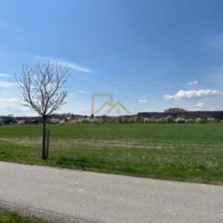 Prodej zemědělské půdy 9 981 m² Boršov nad Vltavou