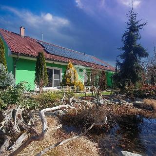 Prodej rodinného domu 174 m² Homole